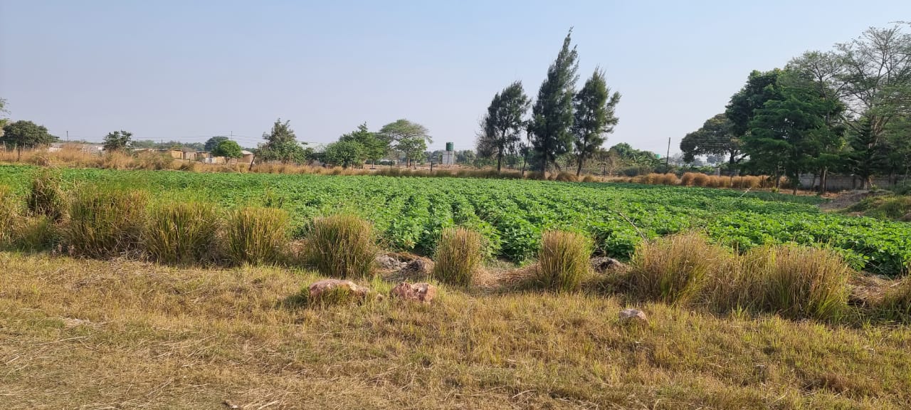 World Bank programme feature
