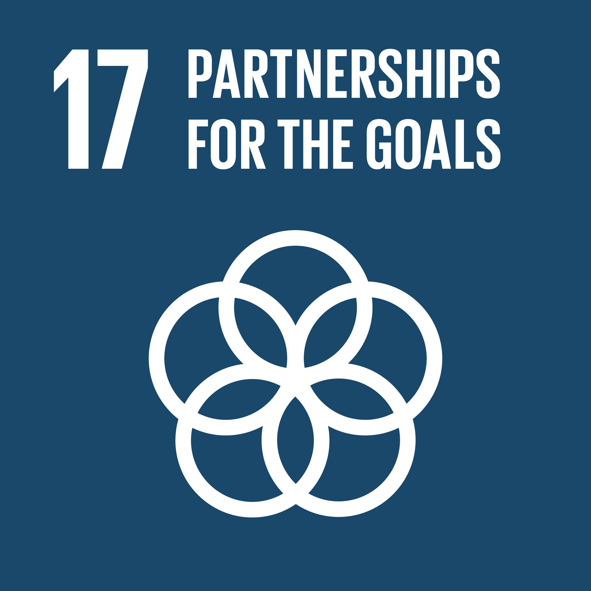 SDG 17: Partnerships for the Goals Logo