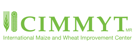 CIMMYT
