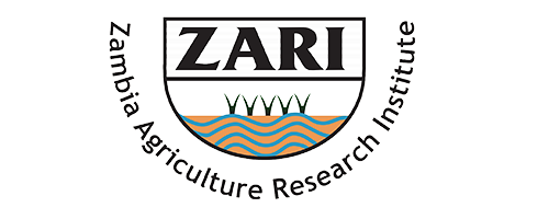 ZARI