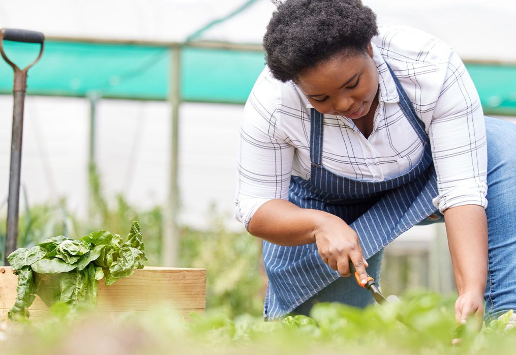 Embracing Climate Resilient Farming