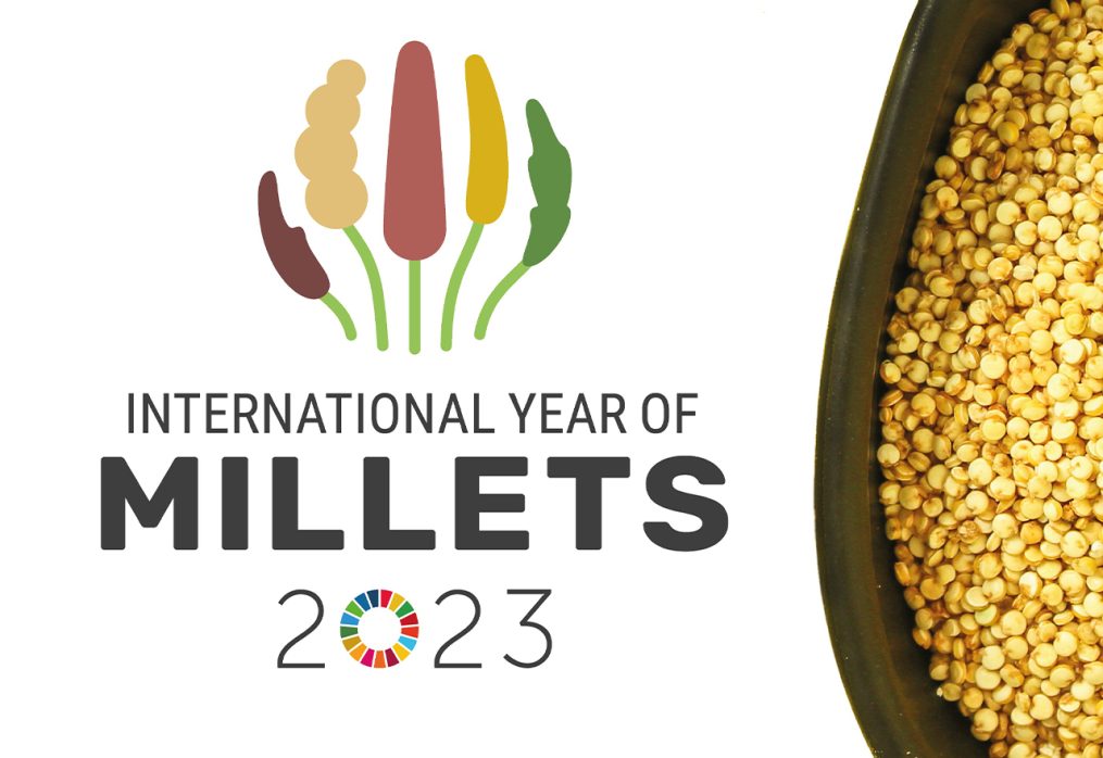 2023 Is The International Year Of Millets