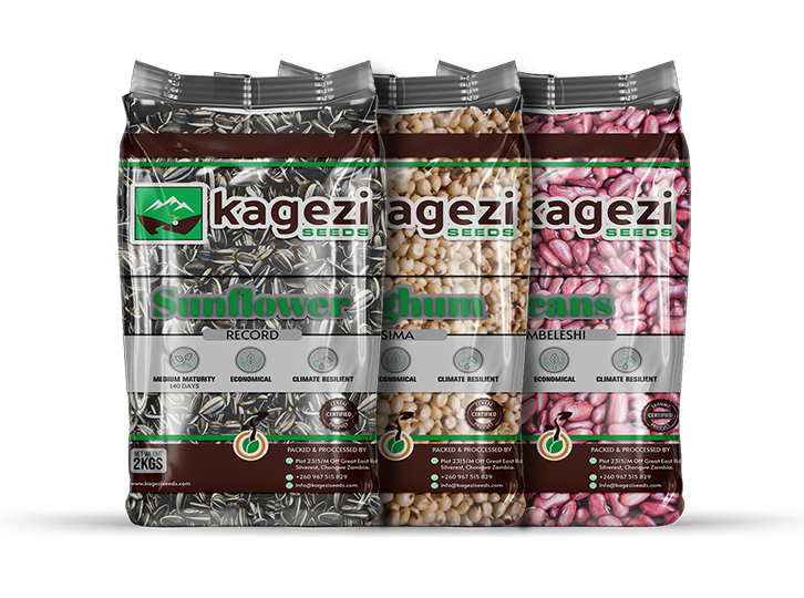 Kagezi Seeds Products