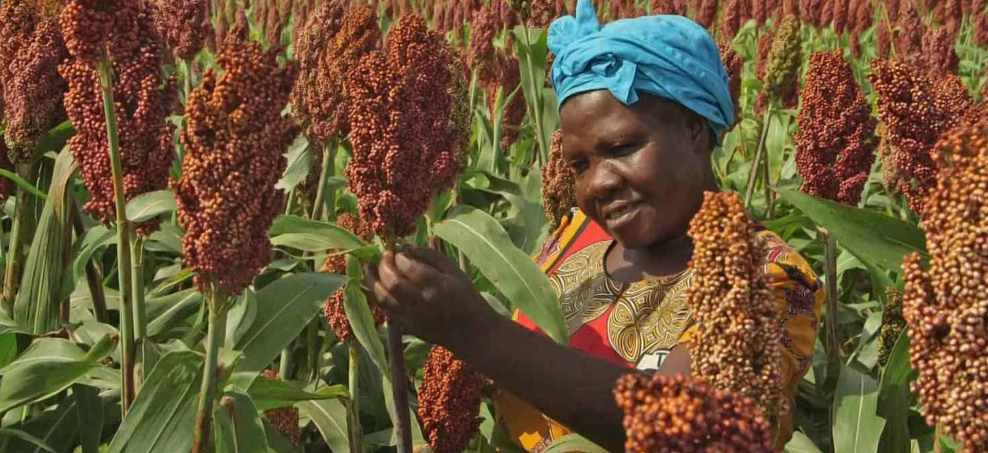 small-scale-farmers-needs-empowerment-kagezi-seeds